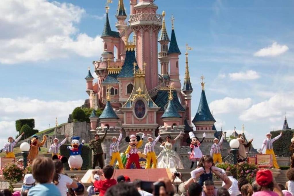 Lovely Apartment Betwen Paris And Eurodisney Nogent-sur-Seine Exterior foto